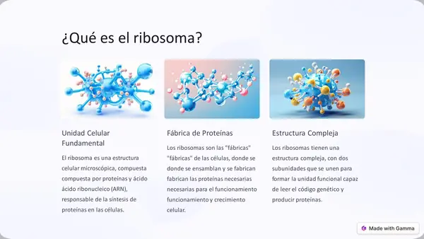 Introducción a los ribosomas