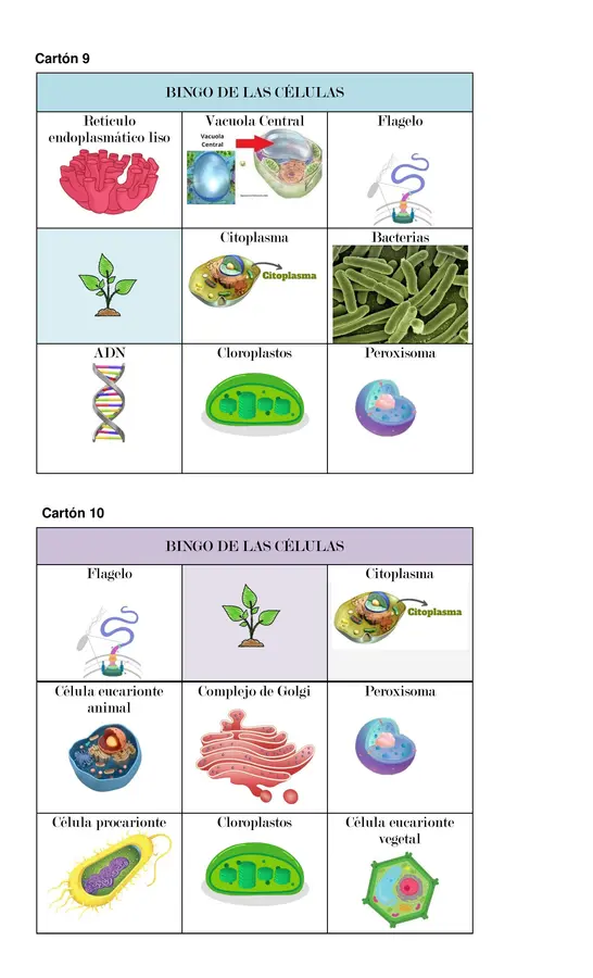 BINGO DE LA CÉLULA