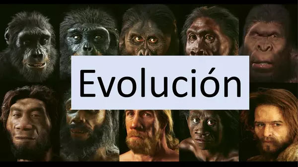 Evolución humana 