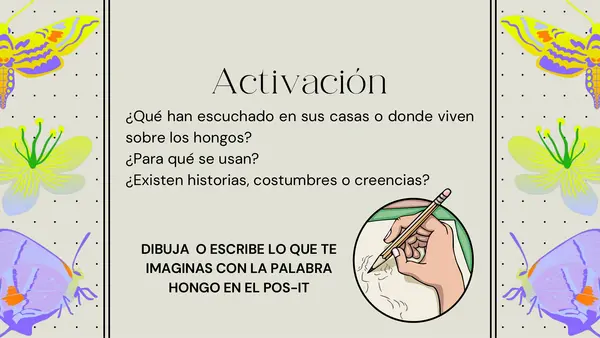 Explorando el mundo de los hongos