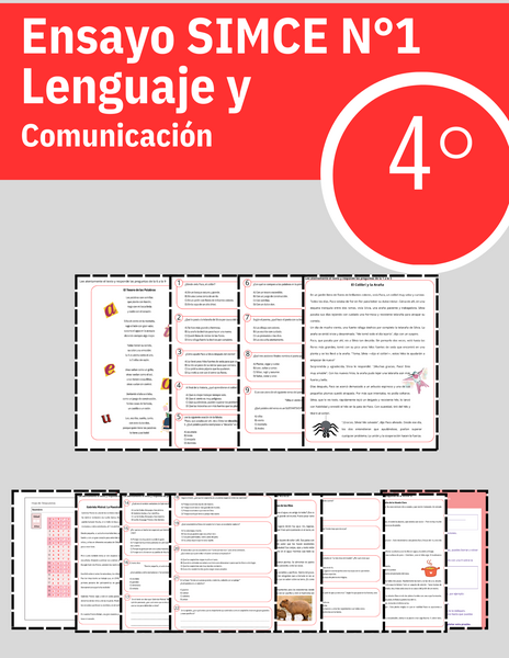 _SIMCE lenguaje 1.png