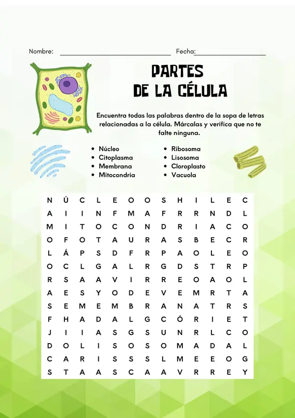 Sopa de letras Partes de la célula