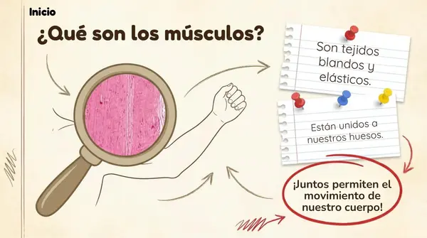 Clase 8 Lección 1 Unidad 1 "Cuidemos nuestro cuerpo" Trabajo Interdisciplinario.- 2° Básico