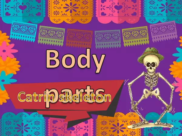 Body parts Catrin Skeleton