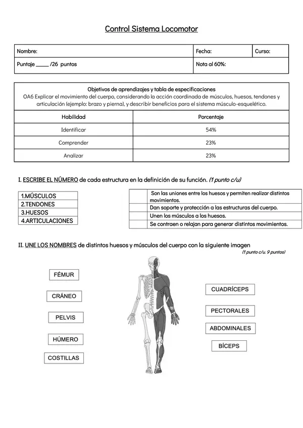 Evaluación Sistema locomotor