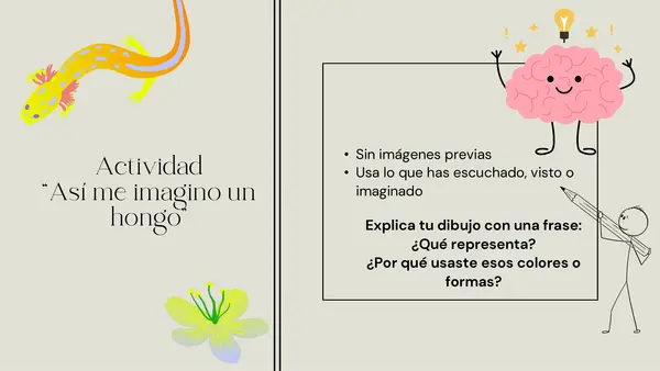 Explorando el mundo de los hongos