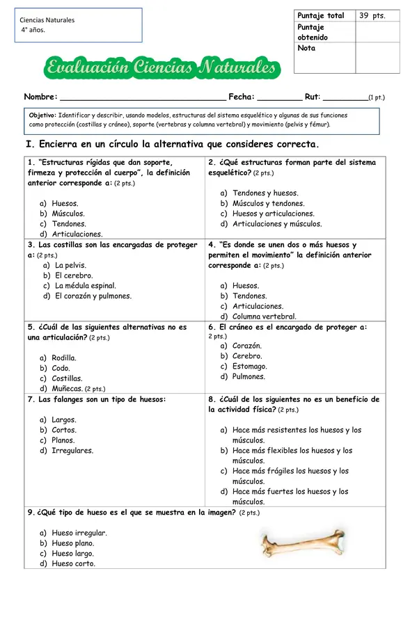 Sistema esquelético 