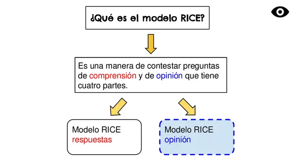 Modelo RICE opinión SIMCE 4°y 6°