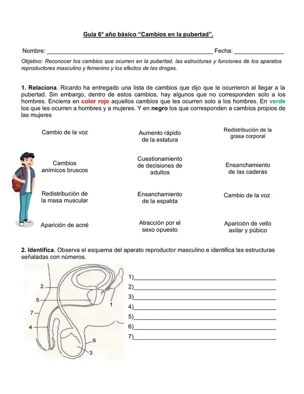 Guía de ciencias 6° año "Cambios en la pubertad"