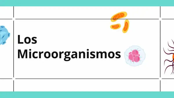 Tipos de microorganismos