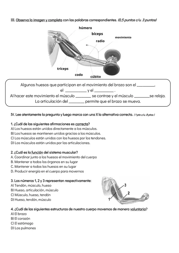 Evaluación Sistema locomotor