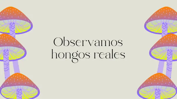 Explorando el mundo de los hongos