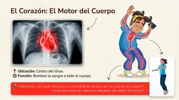 Clase 3 Lección 1 Unidad 1 "Cuidemos nuestro cuerpo" - 2° Básico