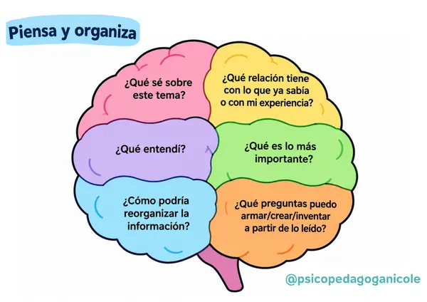 Cerebro: Piensa y Organiza