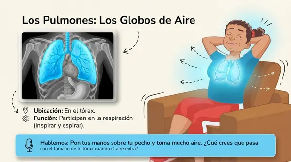 Clase 3 Lección 1 Unidad 1 "Cuidemos nuestro cuerpo" - 2° Básico