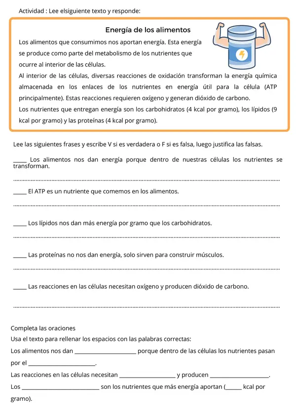 Ciencias Naturales: Alimentos Saludables - Clasificación, Investigación y Hábitos