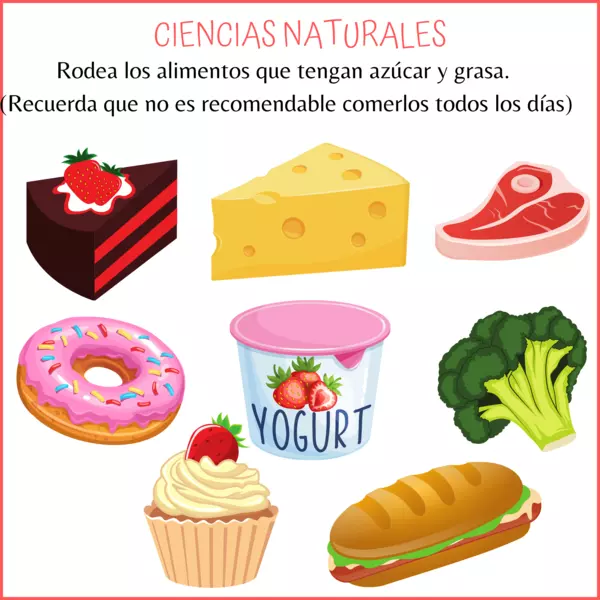 Ciencias Naturales: Alimentos con grasa y azúcar. (4º de Primaria)