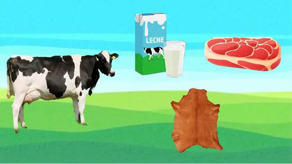 UTILIDAD O DERIVADOS DE LOS ANIMALES