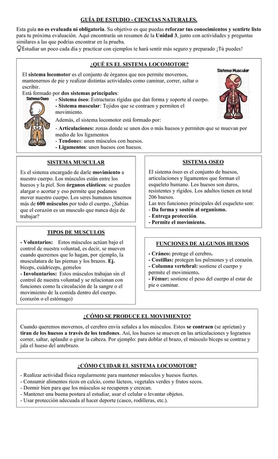 GUÍA DEL SISTEMA LOCOMOTOR