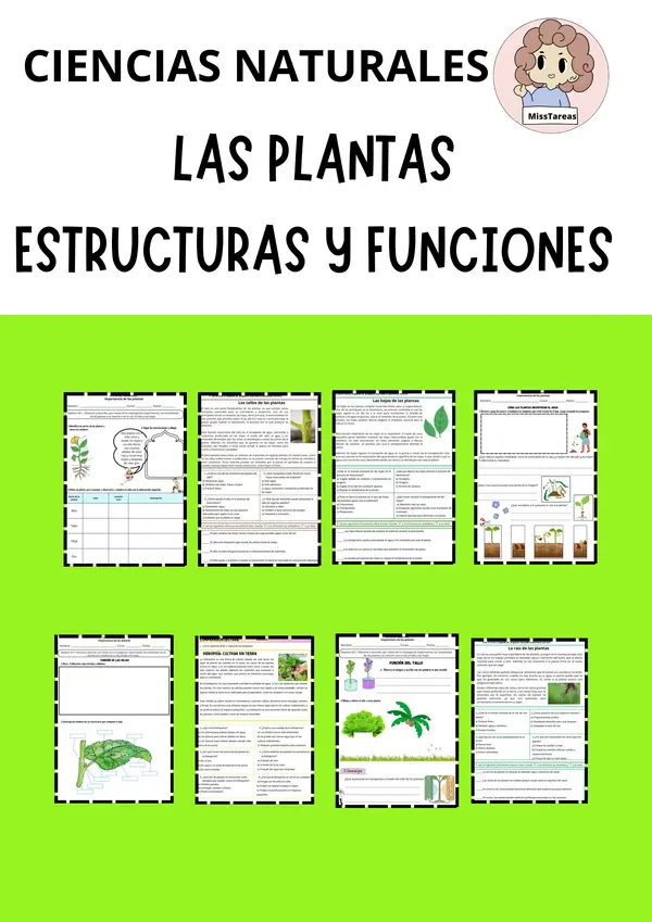  Las Plantas: Partes, Necesidades y Funciones Ficha de Ciencias para 2° - 4° Básico