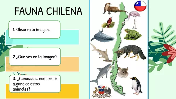 FAUNA CHILENA - EDITABLE