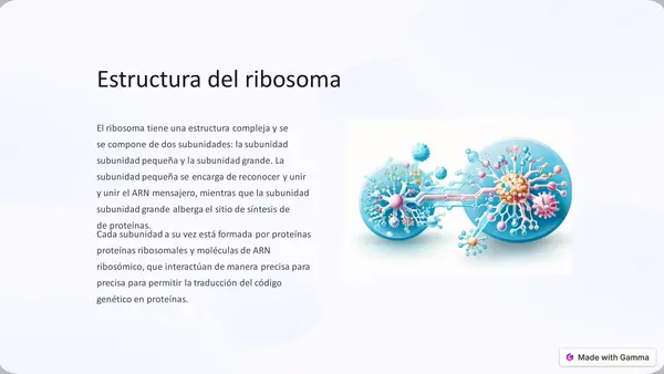 Introducción a los ribosomas