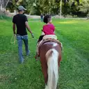 yaneth cesareo - @yaneth.cesareo1