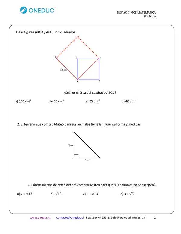 ensayo SIMCE 2dos medios - matemáticas 