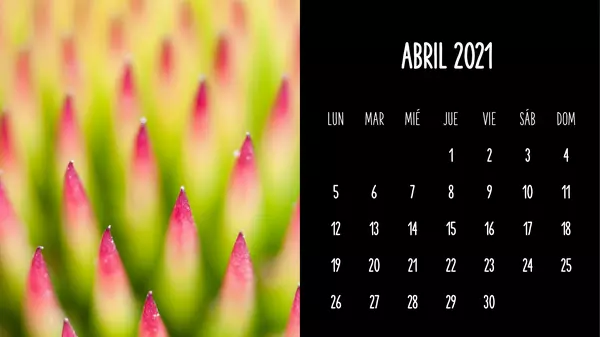 Calendario mensual con plantas