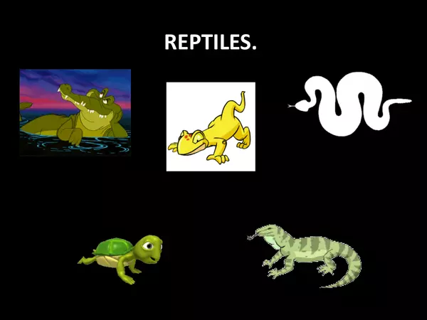 animales vertebrados reptiles 