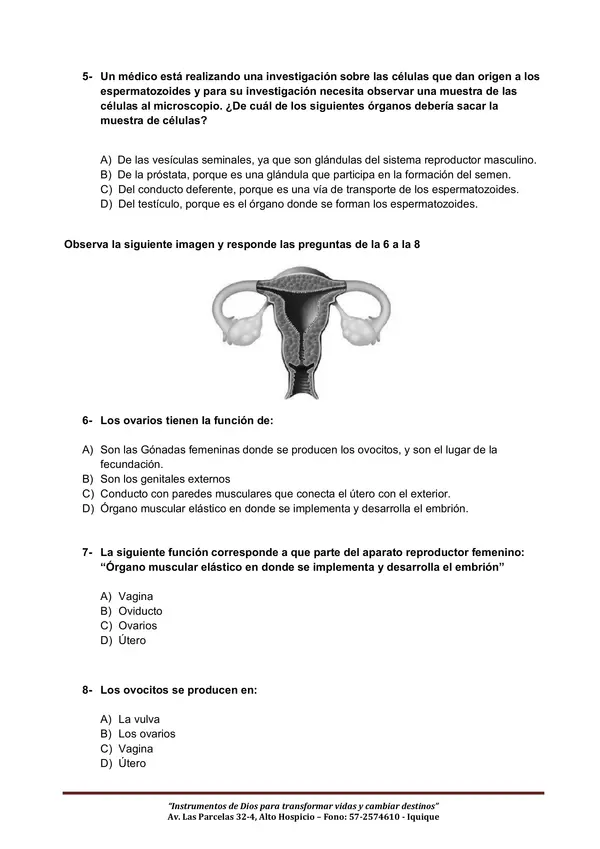 Evaluación ciencias sexualidad