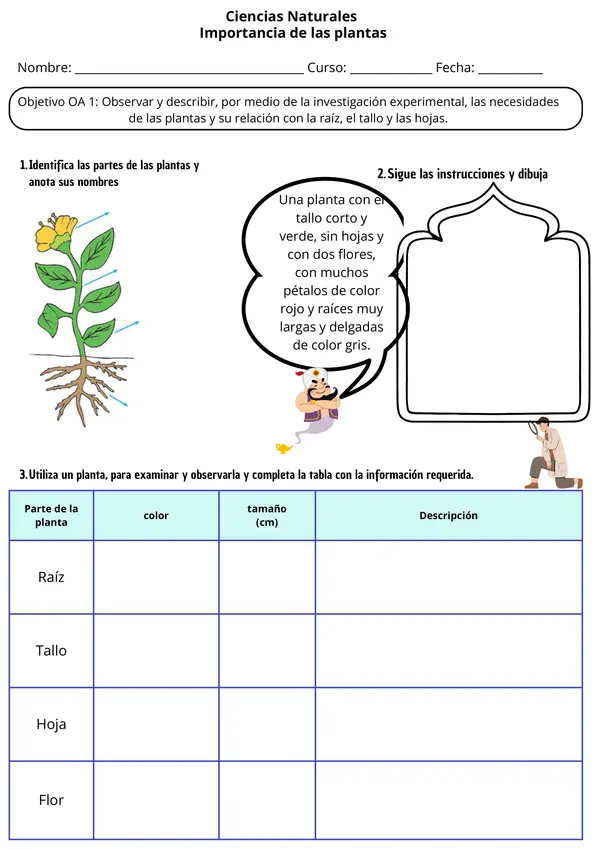  Las Plantas: Partes, Necesidades y Funciones Ficha de Ciencias para 2° - 4° Básico