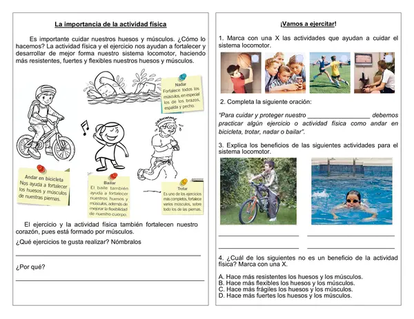 Guía de ciencias "Importancia de la actividad física"