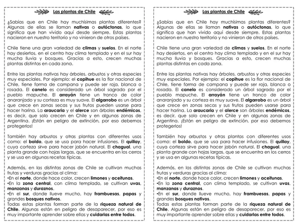 Comprensión de lectura: Plantas autóctonas de Chile