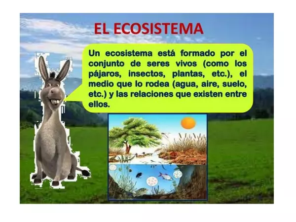 Ecosistemas