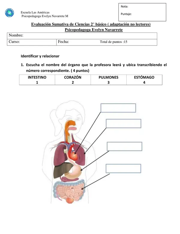 Evaluación Ciencias 2° básico
