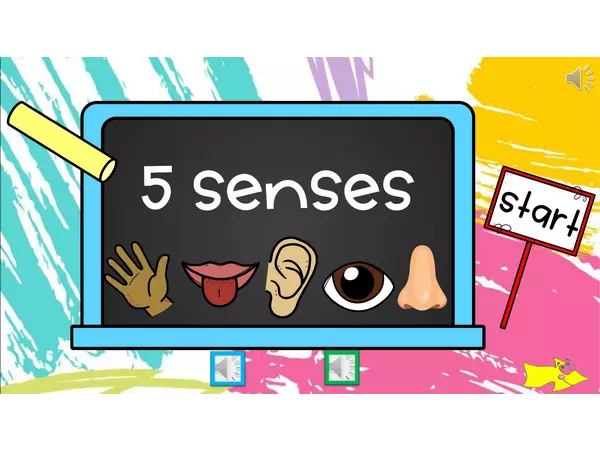 Five senses"