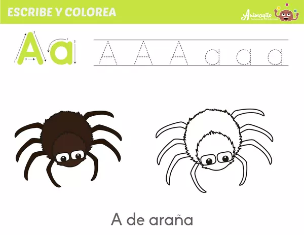 Cerebrín Lectoescritor de vocales en Español