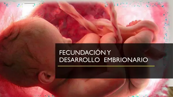 Fecundación y desarrollo embrionario 