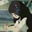 Study_Chan - @study.chan