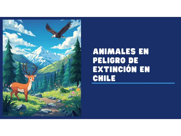 Animales en peligro de extinción y maneras para cuidarlos