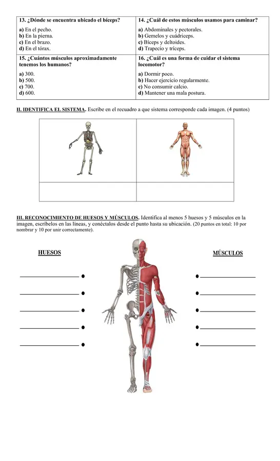 EVALUACIÓN SISTEMA LOCOMOTOR 4° BÁSICO