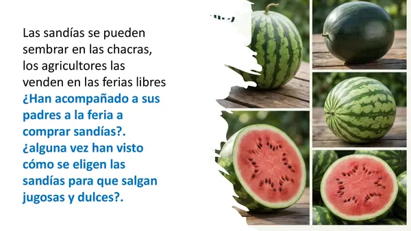 Lección 19 Sandía Parte 2 Mayúsculas Método Matte