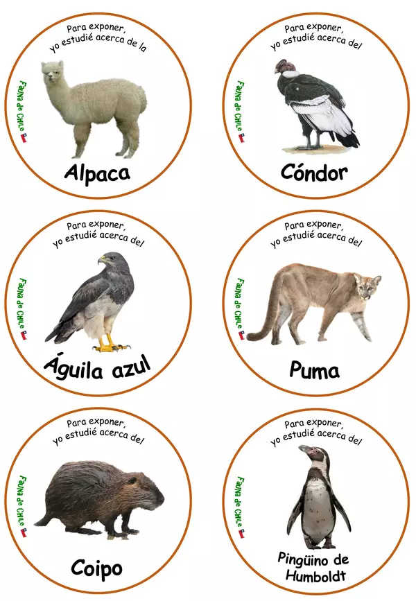 Exposiciones sobre fauna chilena. 