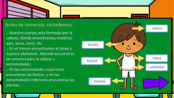 PPT órganos corazón pulmones y estómago.