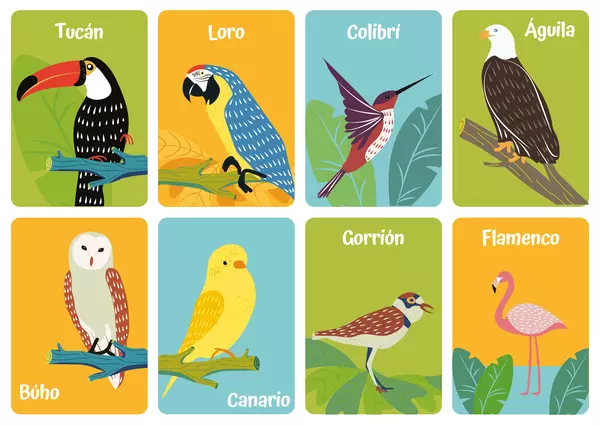 Tarjetas con Ilustraciones: Aves
