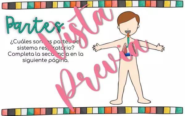¿Cuál sistema del cuerpo?