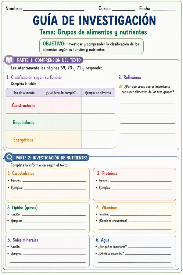 grupos de alimentos y función 