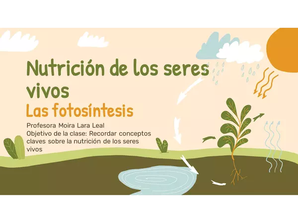 La fotosíntesis 4to y 5to básico