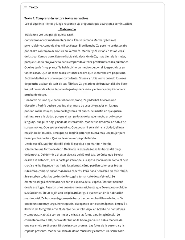 Ensayo exámenes libres 1° Medio Lengua y Literatura